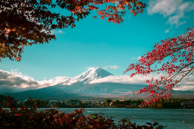 秋の富士山 プレミアム写真