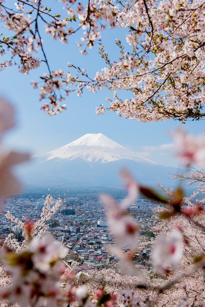 Premium Photo | Fuji mountain view with sakura flower in spring time ...