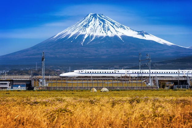 Fuji mountains and train in shizuoka, japan. Free Photo