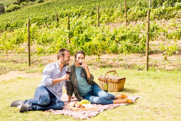 Mature Hispanic Couple Visiting A Vineyard High