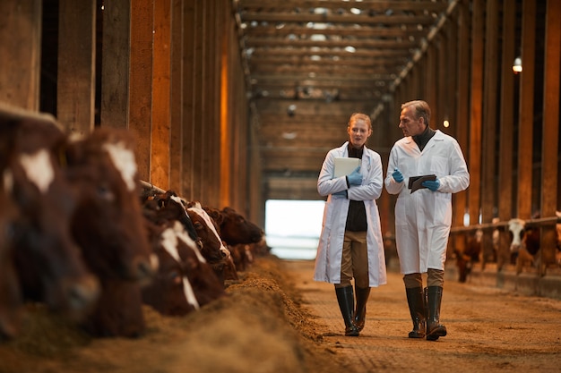 Premium Photo | Full length portrait of two veterinarians in cow shed ...