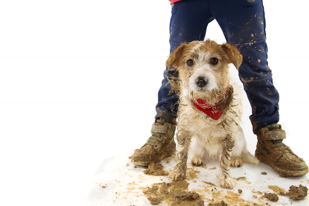 面白い汚い犬と子供 泥の水たまりで遊んだ後 子犬とブーツを着ている少年 プレミアム写真