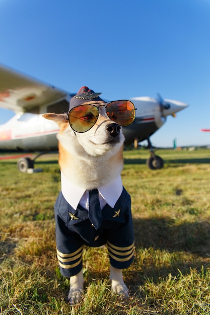 Premium Photo | Funny photo of the shiba inu dog in a pilot suit at the ...