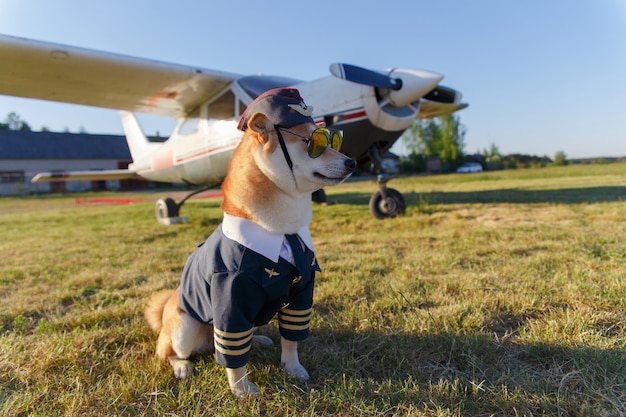 Premium Photo | Funny photo of the shiba inu dog in a pilot suit at the ...