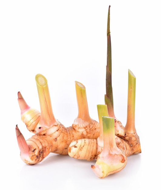 Premium Photo | Galangal on white background