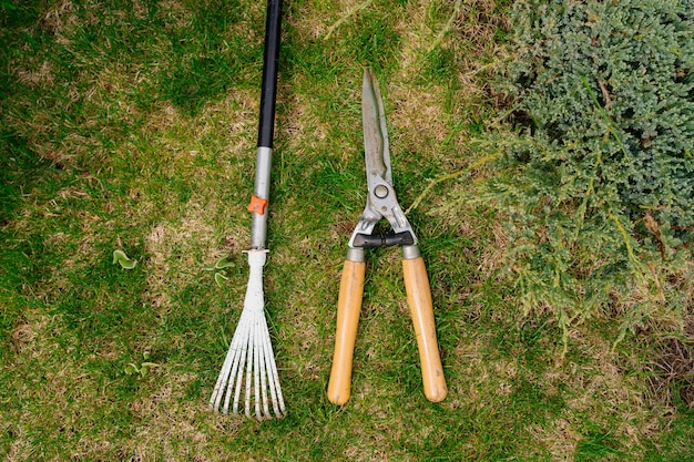 Premium Photo Garden Tools Rake And Secateur On The Green Grass