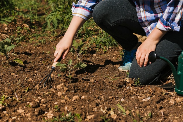 Gardener kneeling in the garden Photo | Free Download