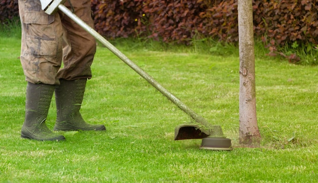 Premium Photo | Gardener mows a green lawn with a hand-held lawn mower.