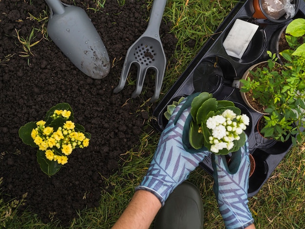 庭に植物を植えるための苗木を着ている庭師 無料の写真