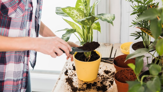 Free Photo | Gardening concept with female hands