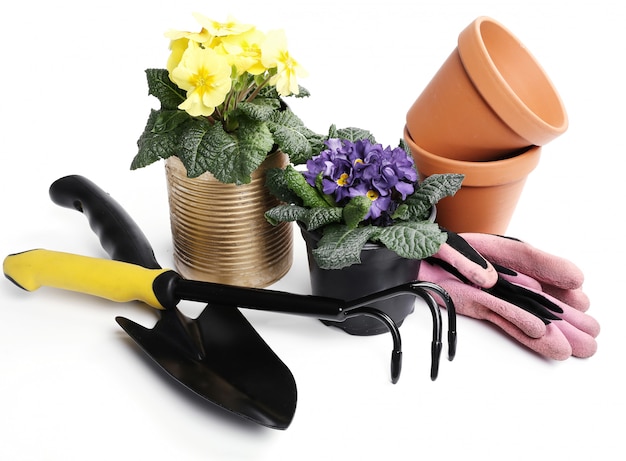 Free Photo | Gardening tools and flower pot isolated