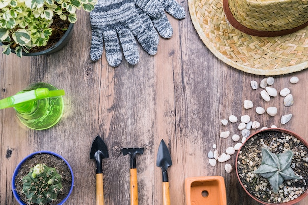 download vegetable gardening for free