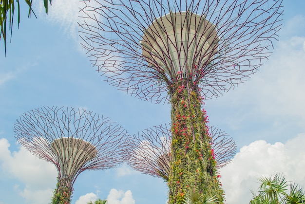 Premium Photo Gardens By The Bay Supertree