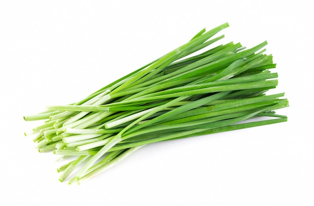 Premium Photo | Garlic chives isolated on white