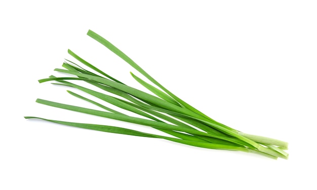 Premium Photo | Garlic chives on white background