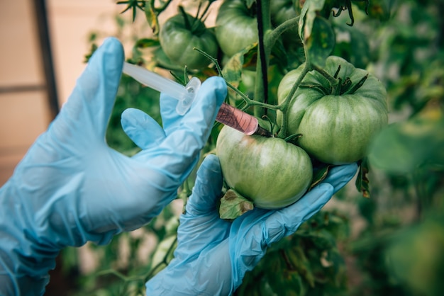 Premium Photo | Genetically modified farming concept