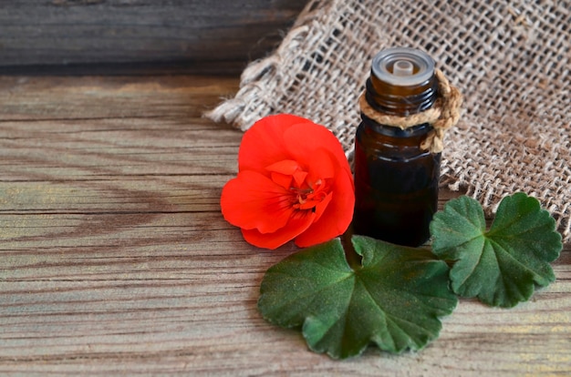 Download Geranium essential oil in a glass bottle with flower and leaf of the geranium plant. geranium ...