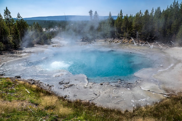 Premium Photo | Geyser in yellowstone national park. incredibly ...