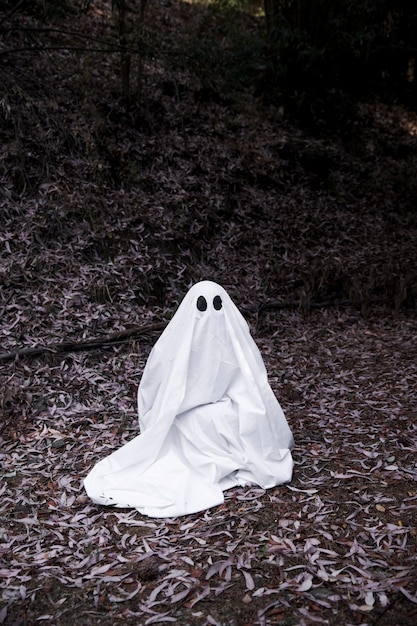 Free Photo | Ghost sitting on soil in forest