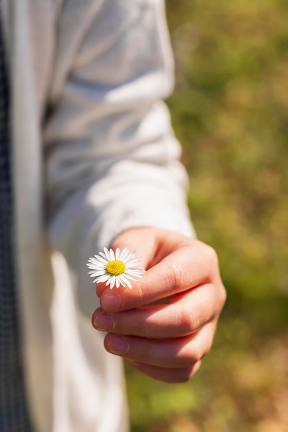 Free Photo | Girl holding white daisy flower close up