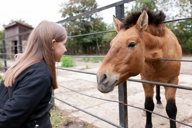 動物園で馬と接触している女の子 プレミアム写真