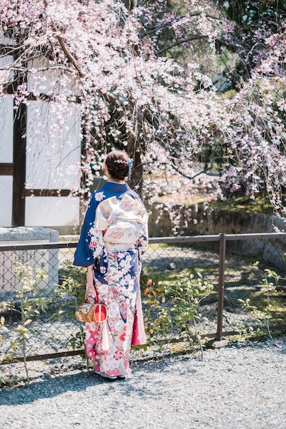 着物と桜の木の女の子女性 無料の写真