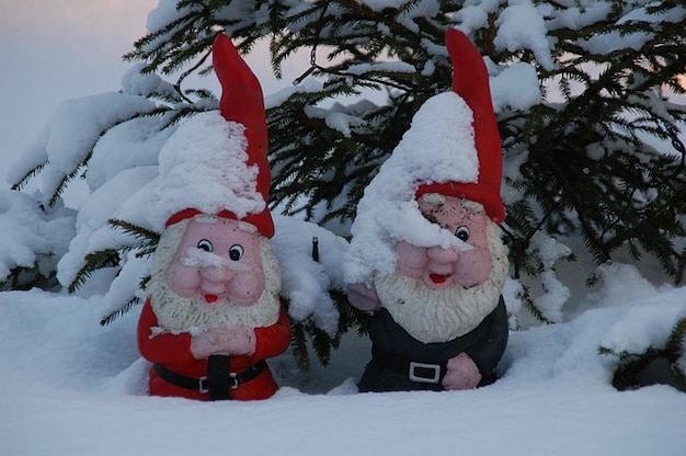 Gnomes gnome winter snow garden Photo | Free Download