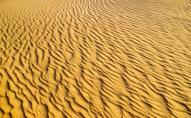 夕日に金の砂漠 砂のテクスチャ プレミアム写真