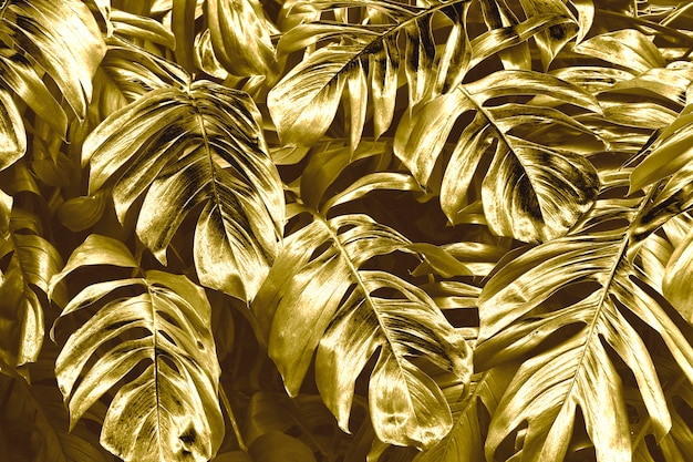 Золотые Листья Фото