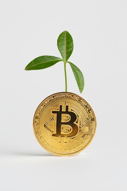 planta bitcoin