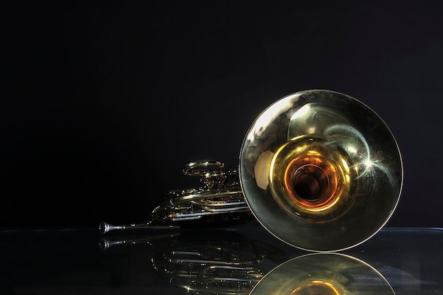 Premium Photo | Golden french horn with soft light isolated on black ...