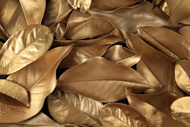 Golden leaves background Photo | Premium Download