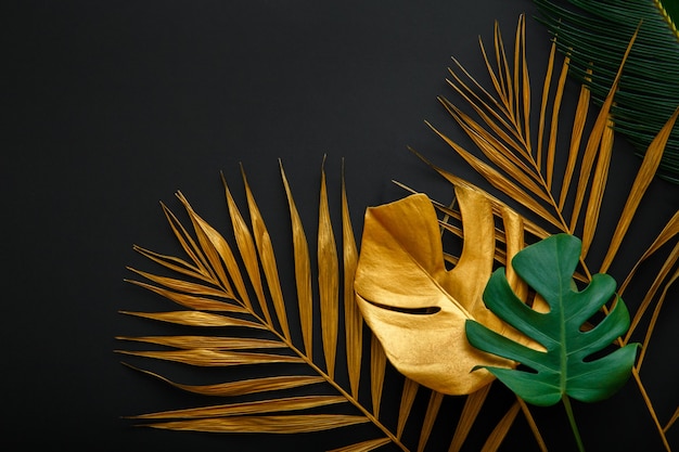 Premium Photo | Golden palm leaf and green fresh tropical monstera