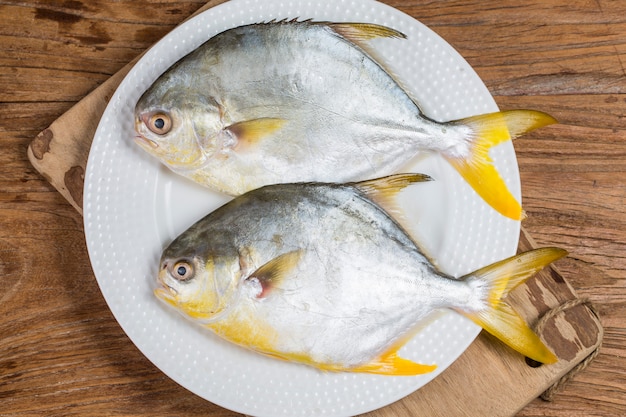 Premium Photo | Golden pomfret fish