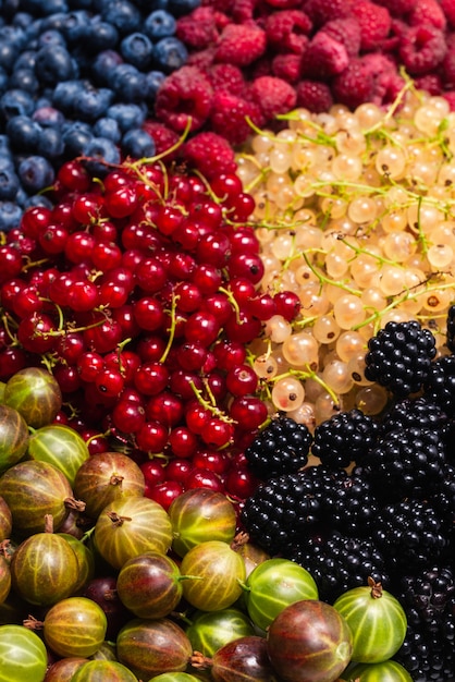 Premium Photo | Gooseberries, Blueberries, Mulberry, Raspberries, White ...