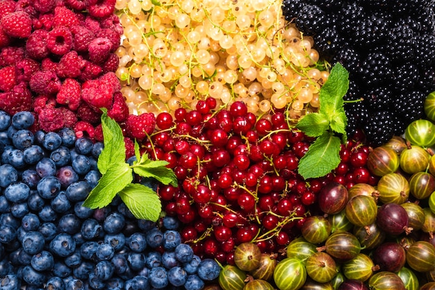 Premium Photo | Gooseberries, Blueberries, Mulberry, Raspberries, White ...