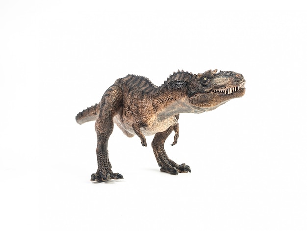 gorgosaurus dinosaur