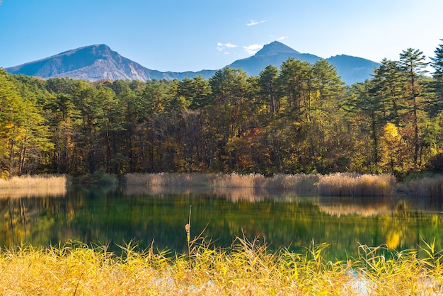 Premium Photo | Goshiki-numa urabandai fukushima autumn japan