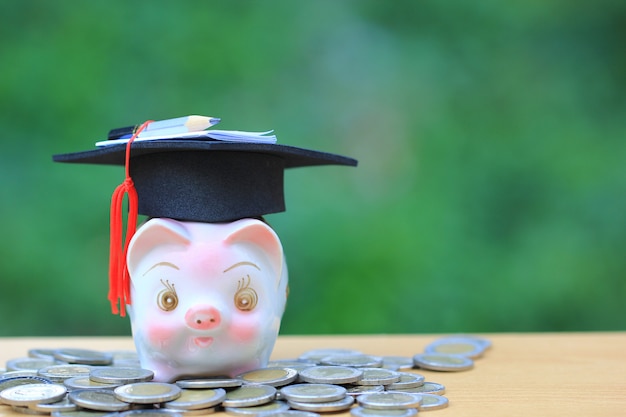 graduation hat pink piggy bank with stack coins money green background saving money education concept 106094 268 - Selengkapnya tentang Kuliah Sastra Inggris di Malaysia