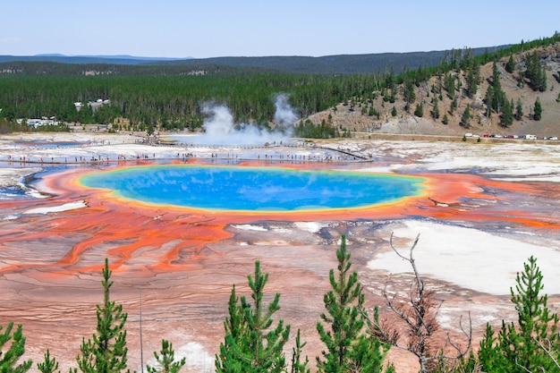 Premium Photo | Grand prismatic spring in yellowstone national park in ...