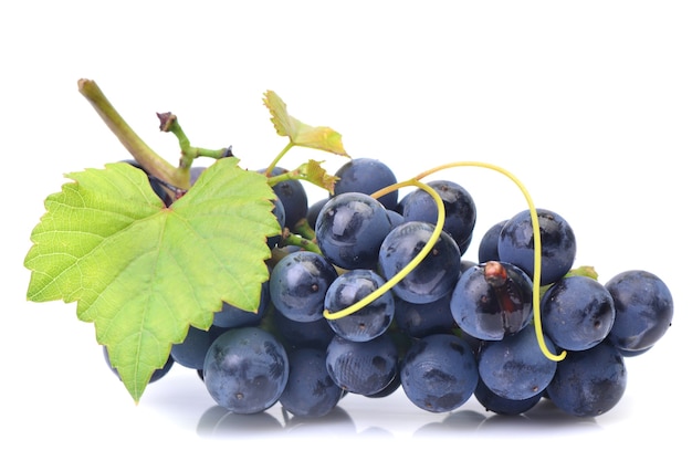 Premium Photo | Grape fruit