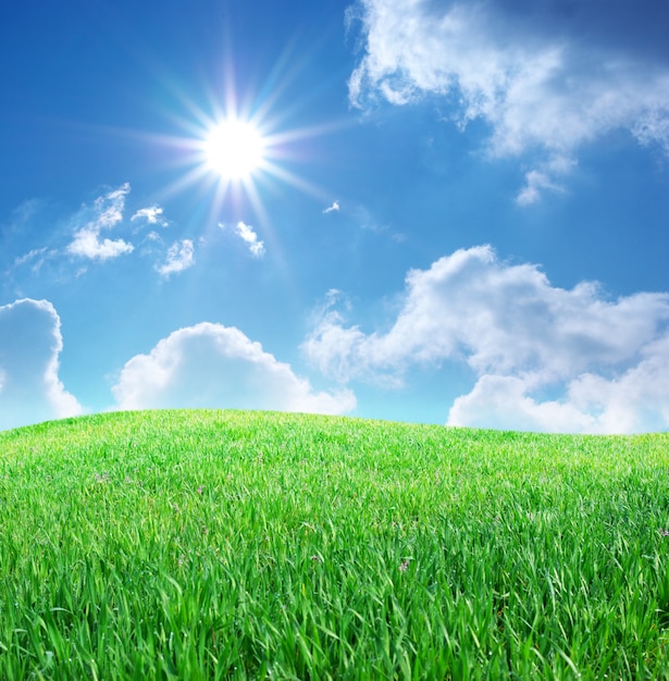 Premium Photo | Grass and deep blue sky