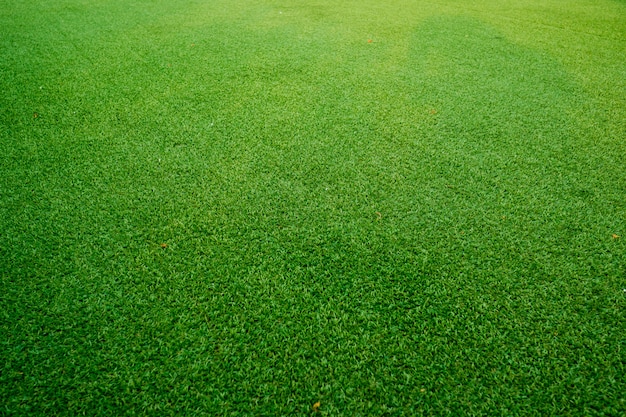 Premium Photo | Grass field background