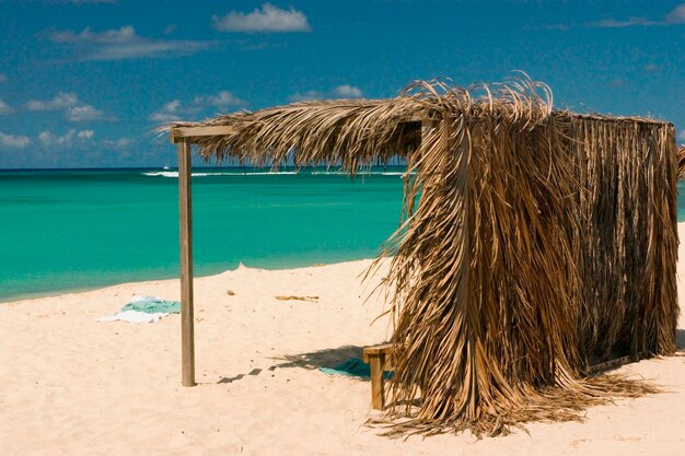 Premium Photo | Grass shelter on aruban beach