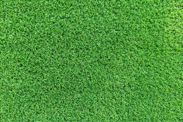 ゴルフ場の芝生のテクスチャや芝生の背景 プレミアム写真