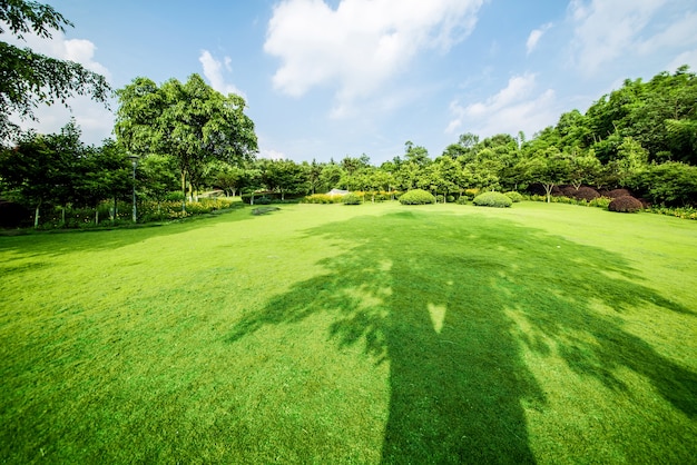 草原風景と緑化環境公園の背景 無料の写真