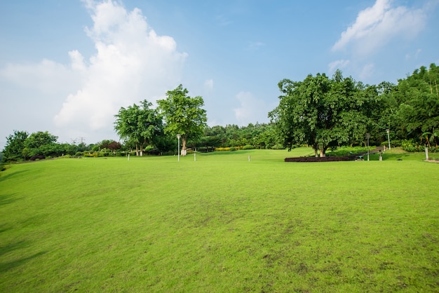 草原風景と緑化環境公園の背景 無料の写真