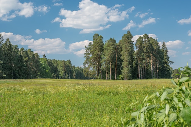 Село луговое фото