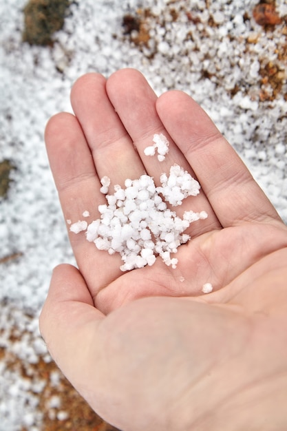 ぼかし、雪のペレットまたは背景をぼかした写真の手のひらに柔らかい 