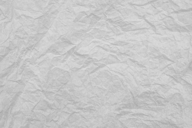grey seamless paper backdrop